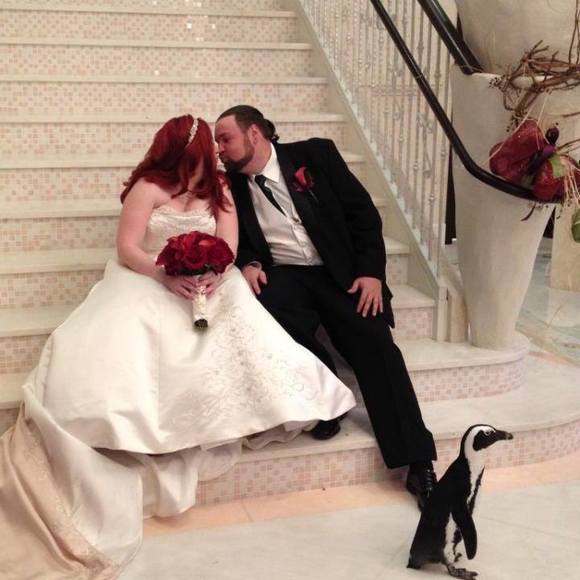 Meet your Posher, Shannon - Picture 1 of 1